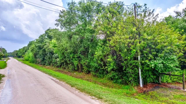 a view of a garden with plants