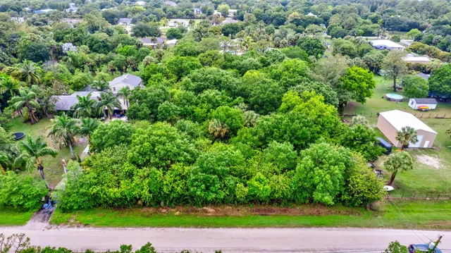 a view of a yard with plants