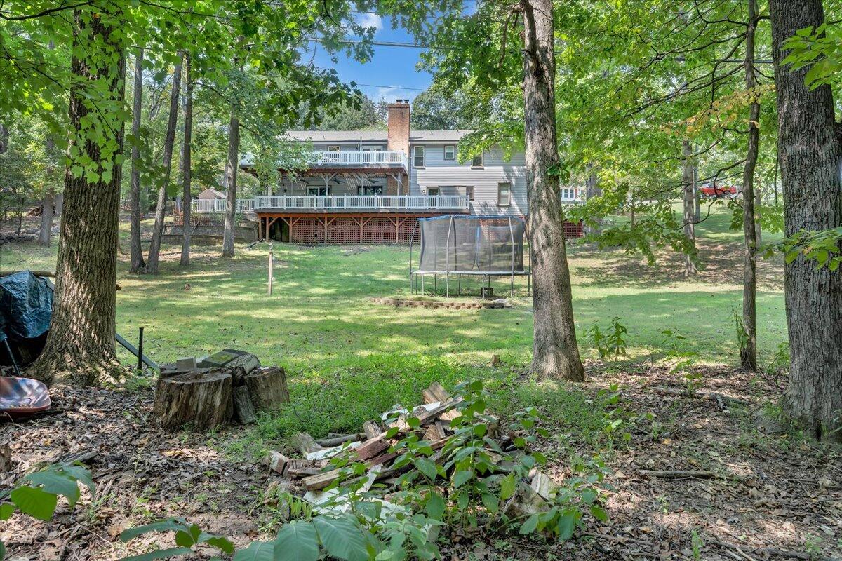 5418 Scout Circle Salem, VA 24153 - Photo 54 of 69 a view of a garden with a large trees