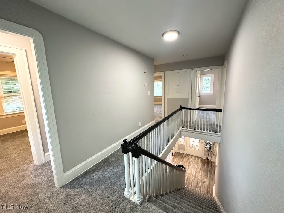 3190 Warrington Road Cleveland, OH 44120 - Photo 12 of 21 Stairs with carpet flooring