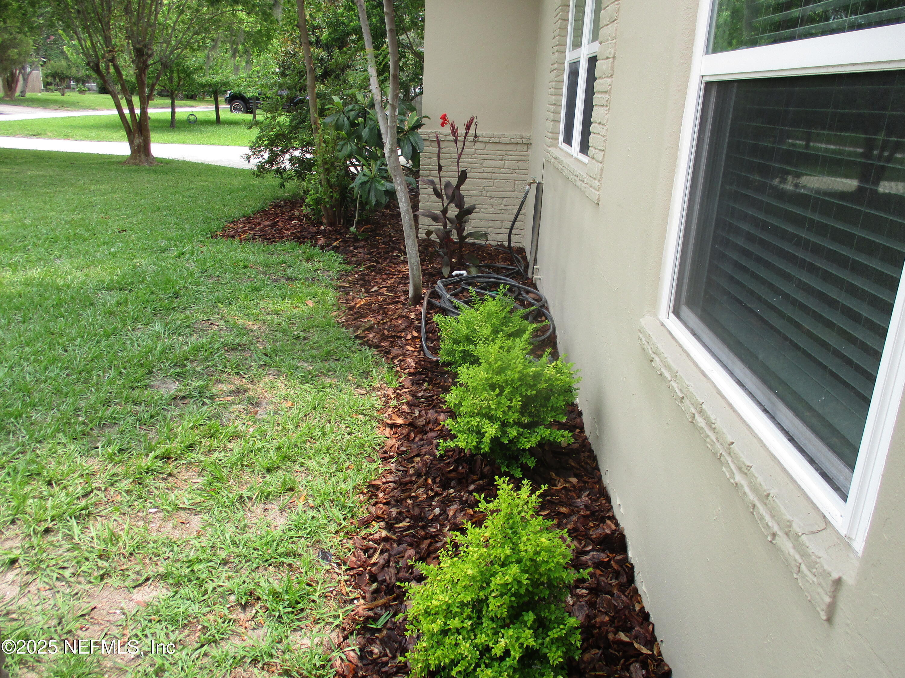 6114 Stetson Road Jacksonville, FL 32217 - Photo 19 of 23 IMG_9066