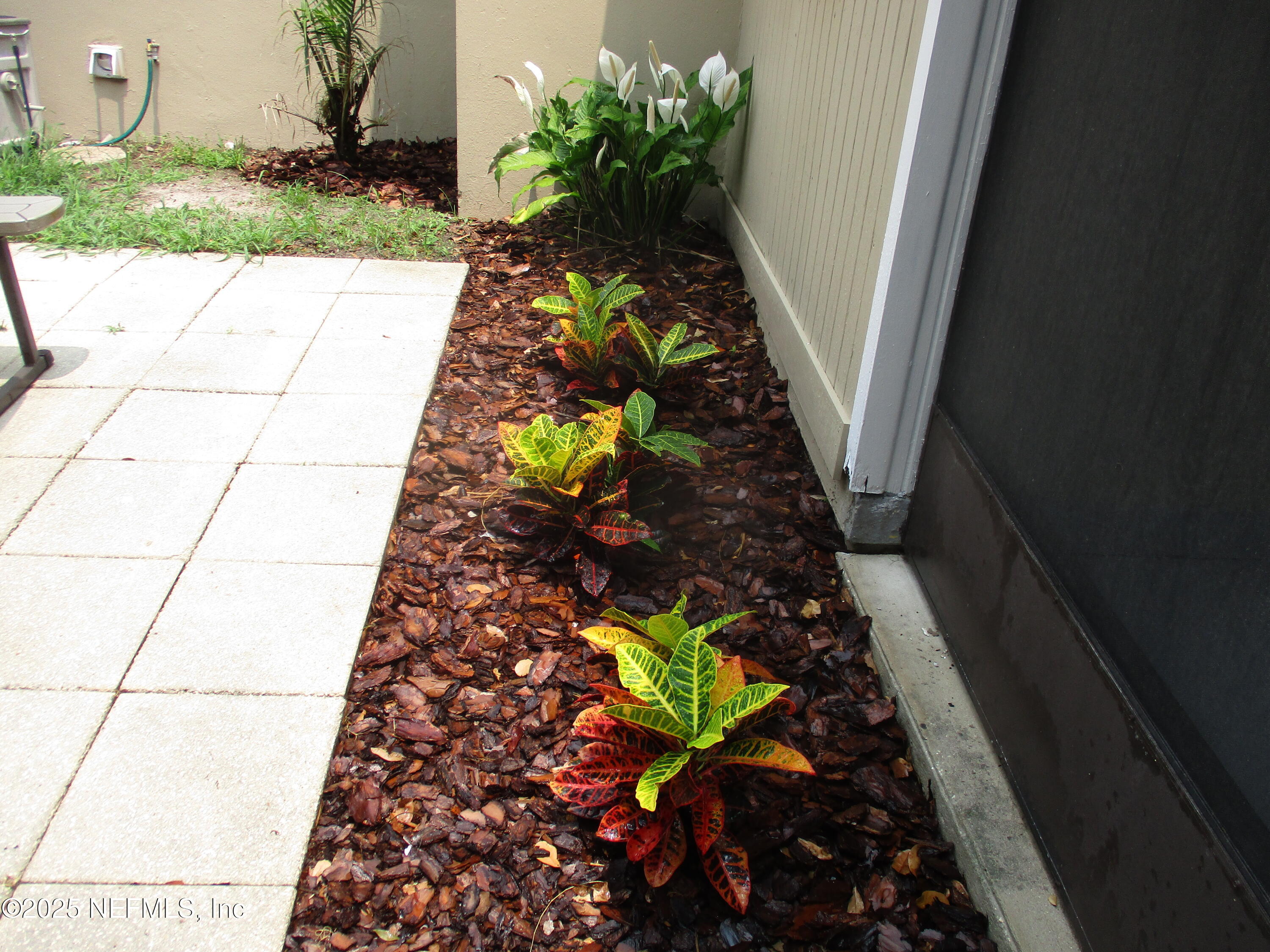 6114 Stetson Road Jacksonville, FL 32217 - Photo 21 of 23 IMG_9070