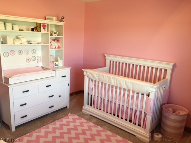 3349 Emmaus Road Northwest Dover, OH 44622 - Photo 13 of 32 Gallery Image 13