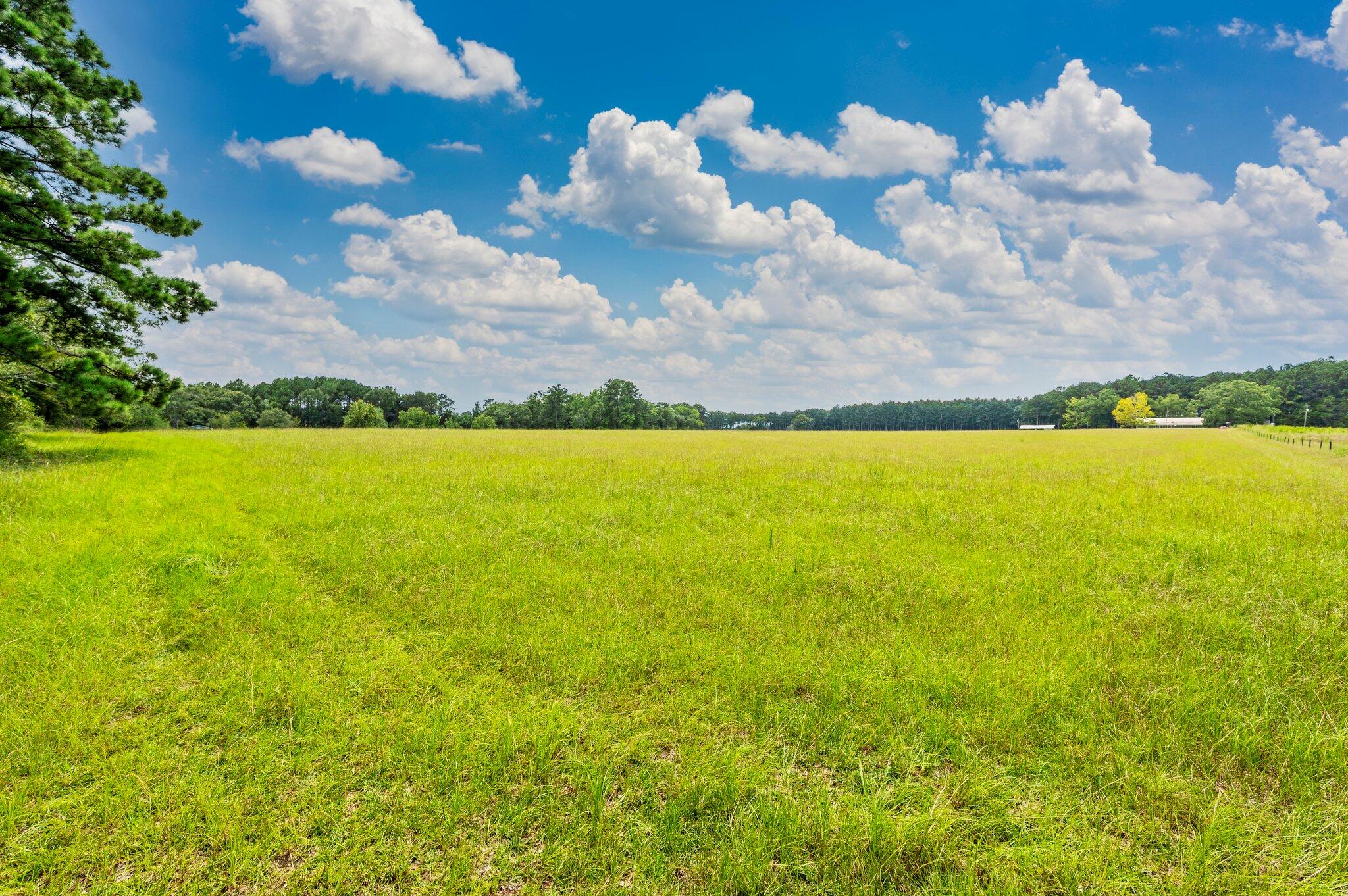 410 Kilpatrick Road Florala, AL 36442 - Photo 50 of 60 a view of an ocean and beach