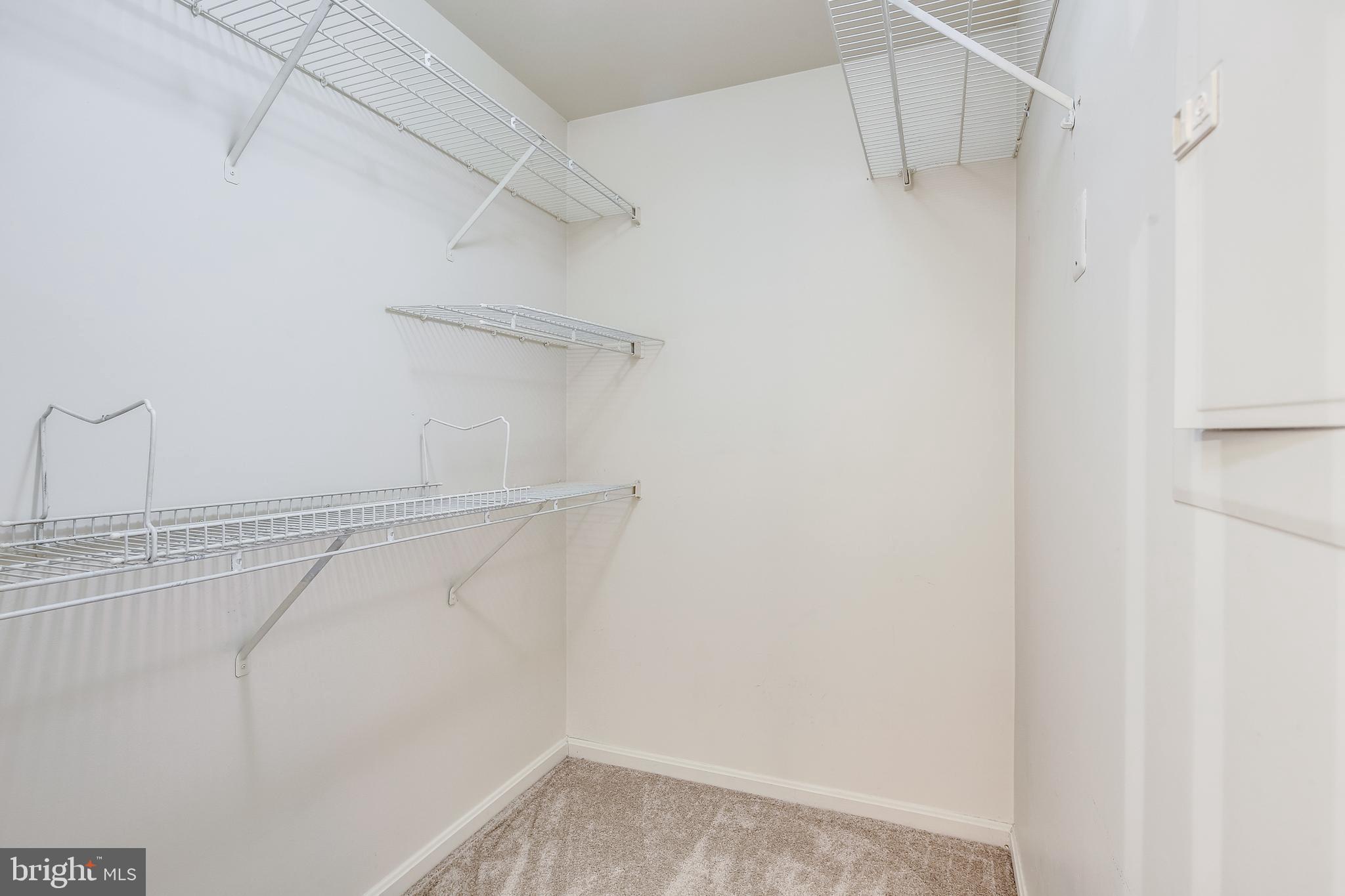 8341 Montgomery Run Road, Unit F Ellicott City, MD 21043 - Photo 21 of 29 Walk-In Closet
