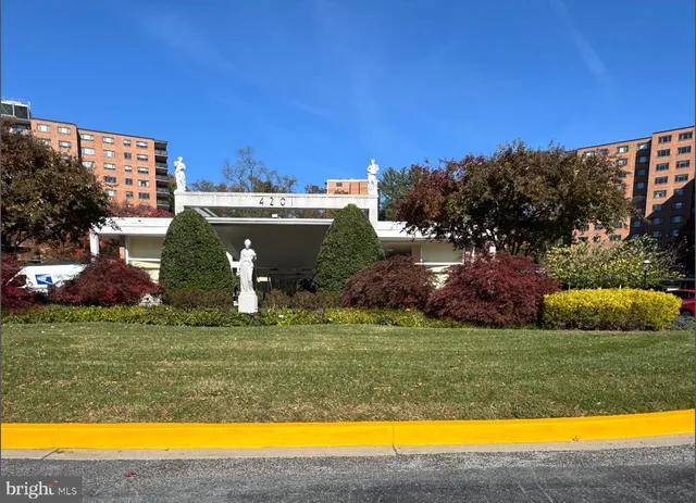 a view of path along with potted plants