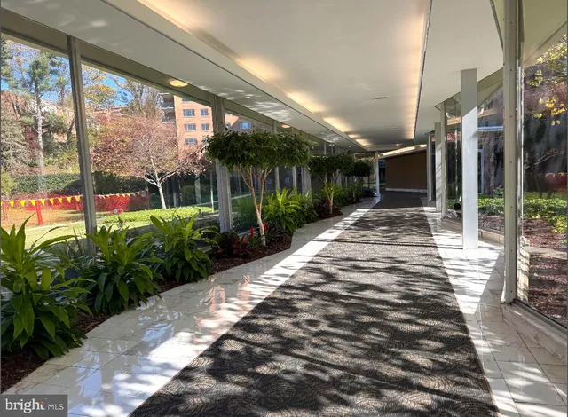 a view of a yard with plants and trees