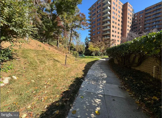 a view of a pathway with a yard