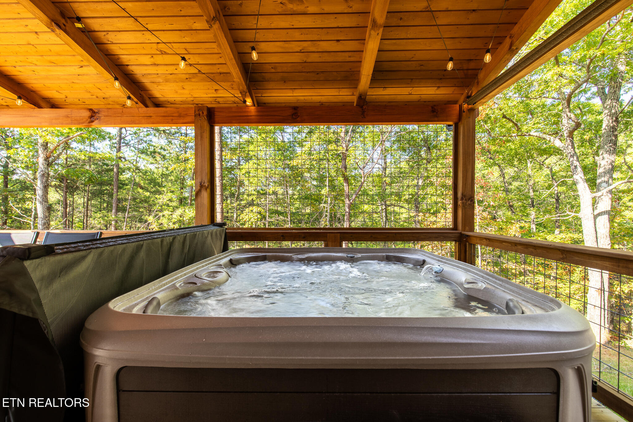 4385 Chamberlain Lane Sevierville, TN 37862 - Photo 29 of 57 IMG_9291