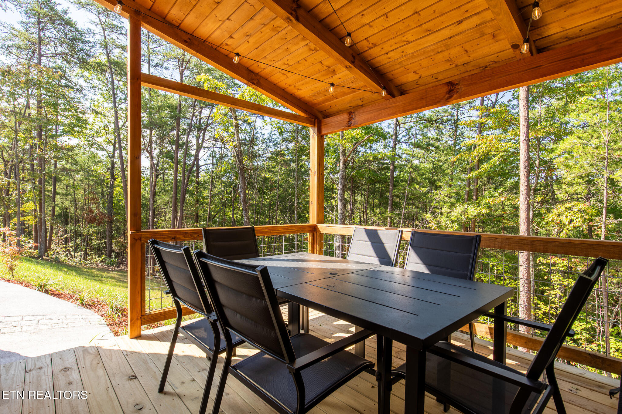 4385 Chamberlain Lane Sevierville, TN 37862 - Photo 47 of 57 IMG_9290