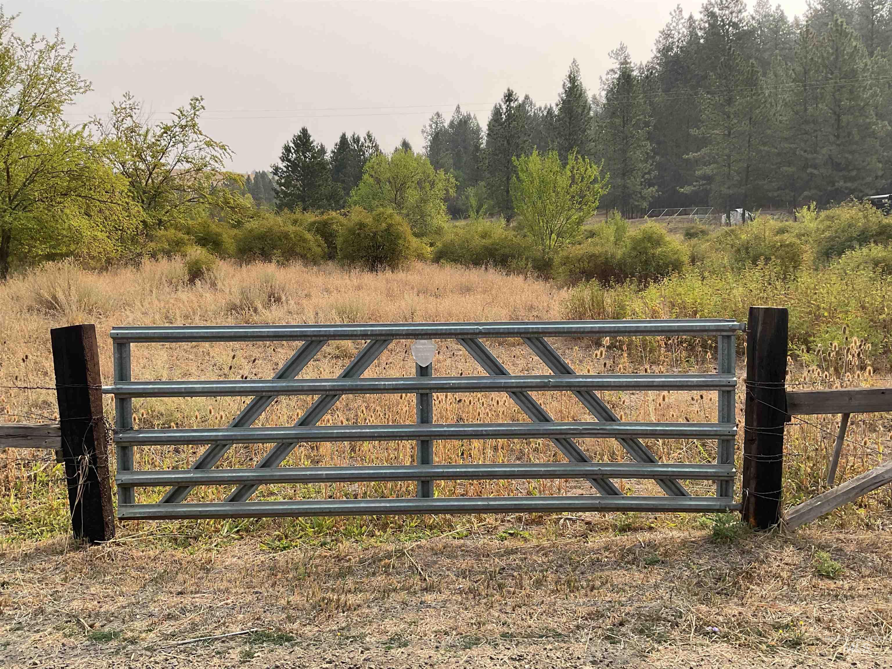 13790 Cross Farm Road Juliaetta, ID 83535 - Photo 13 of 22 Gate with view of wooded area