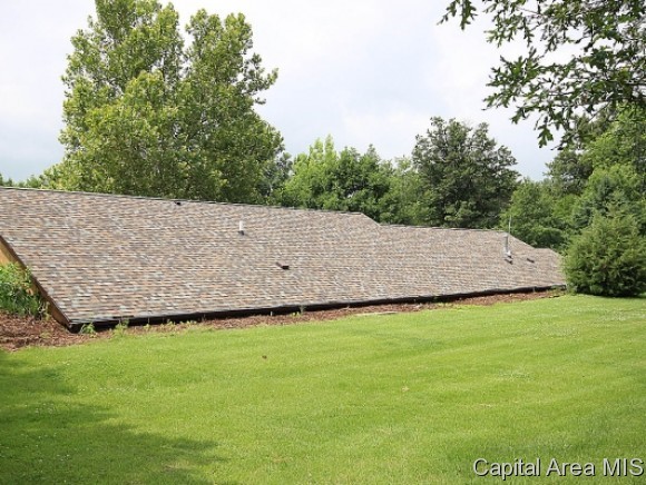 11800 Catholic Cemetery Road Glenarm, IL 62536 - Photo 2 of 22 Gallery Image 2
