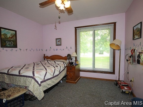 11800 Catholic Cemetery Road Glenarm, IL 62536 - Photo 20 of 22 Gallery Image 20