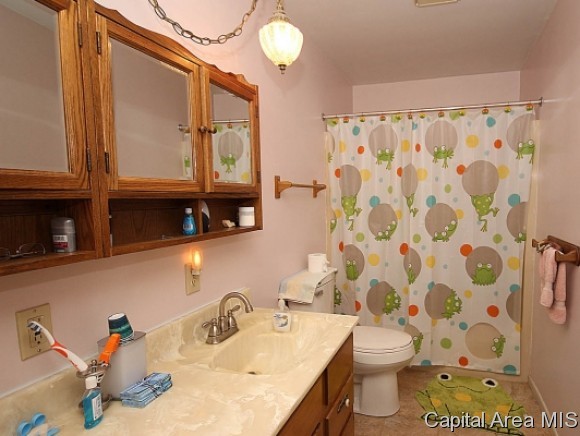 11800 Catholic Cemetery Road Glenarm, IL 62536 - Photo 21 of 22 Gallery Image 21