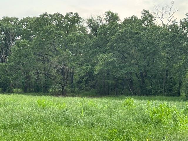 0 County Road 2403 Tool, TX 75143 - Photo 1 of 1 a view of outdoor space and yard