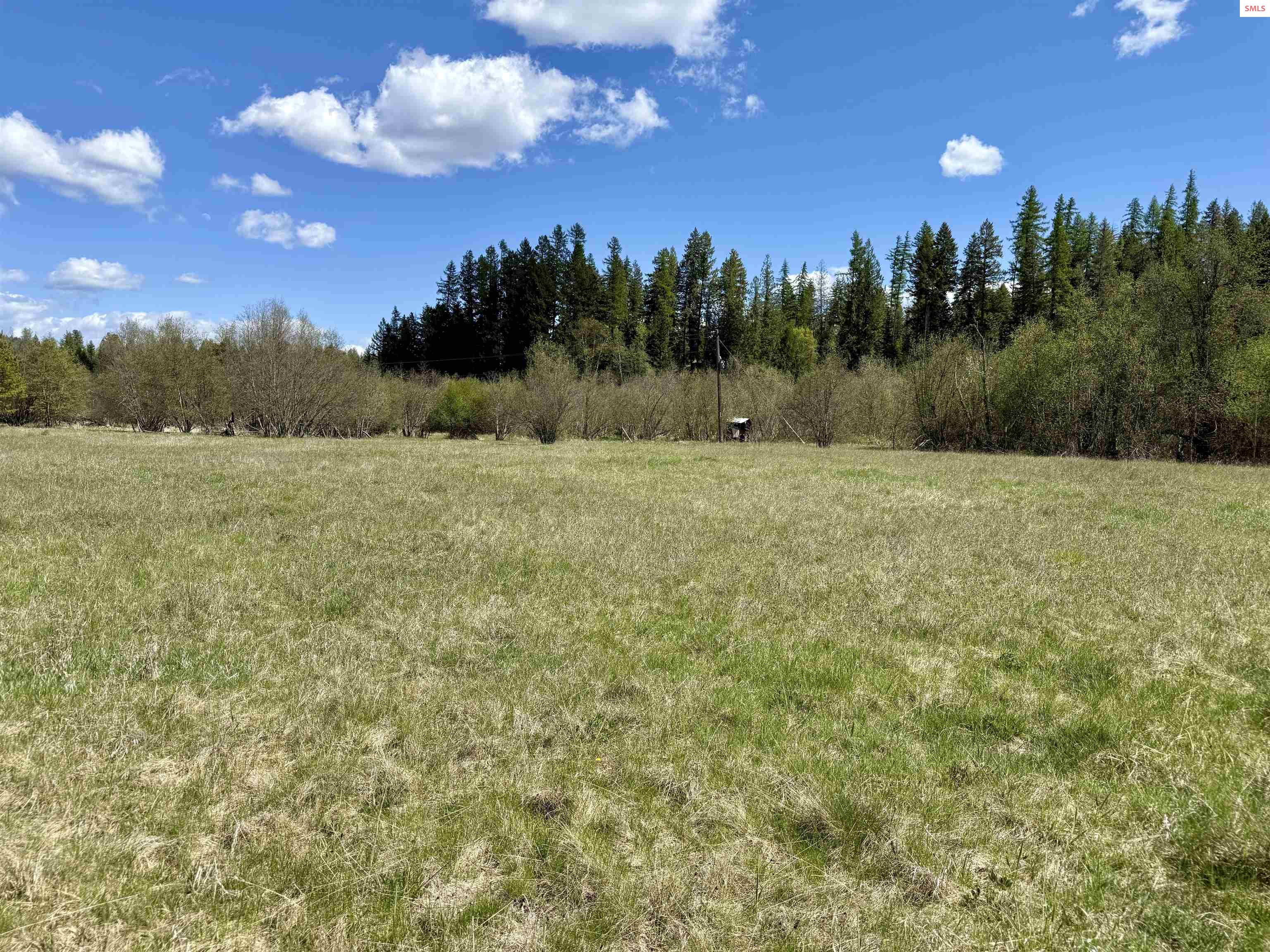 3216 Dufort Road Sagle, ID 83860 - Photo 14 of 95