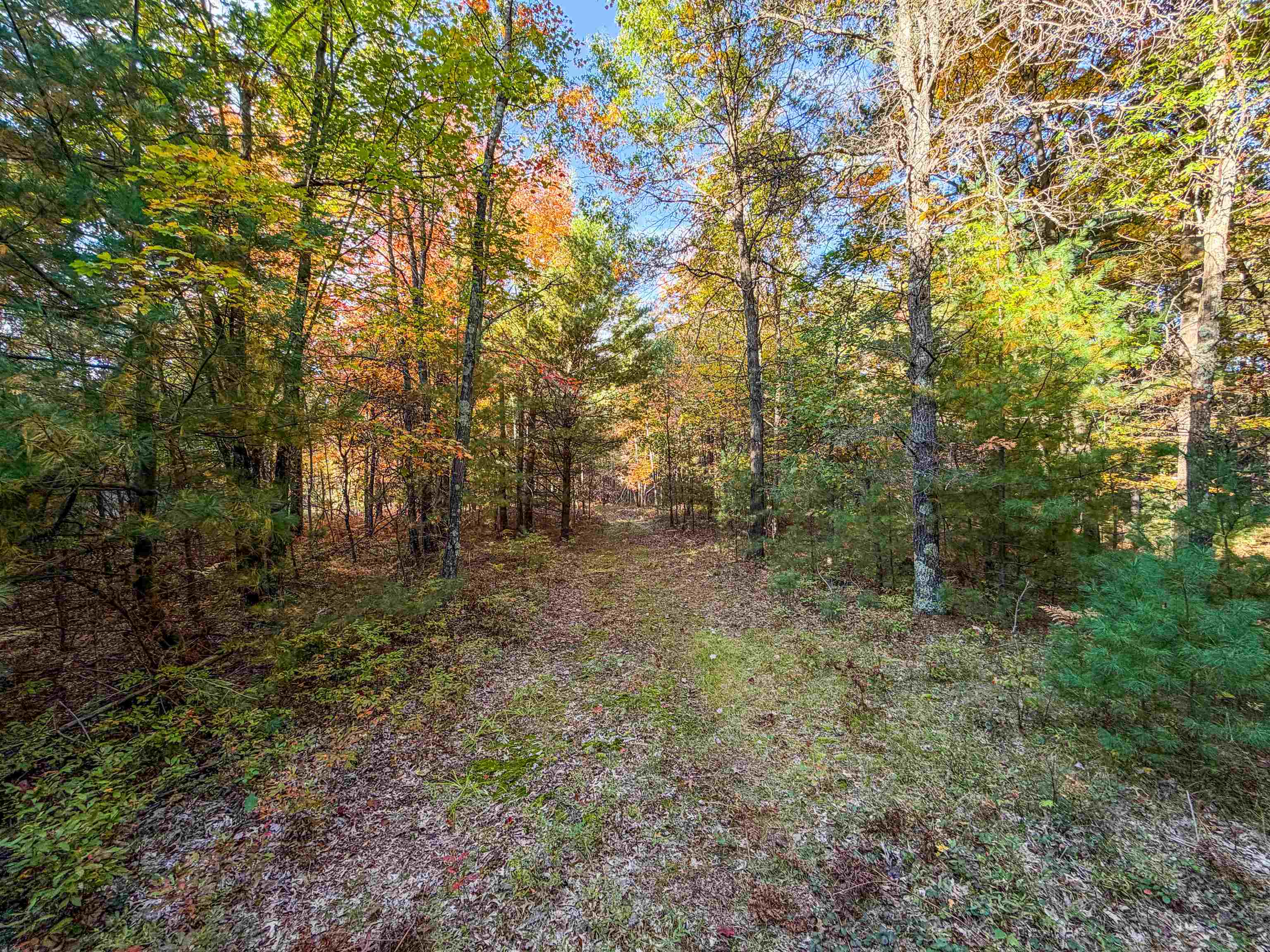 0 Mckenna Warrens, WI 54666 - Photo 25 of 70 Gallery Image 25