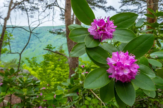 $275,000 | 926 Montlake Road, Soddy Daisy, TN 37379