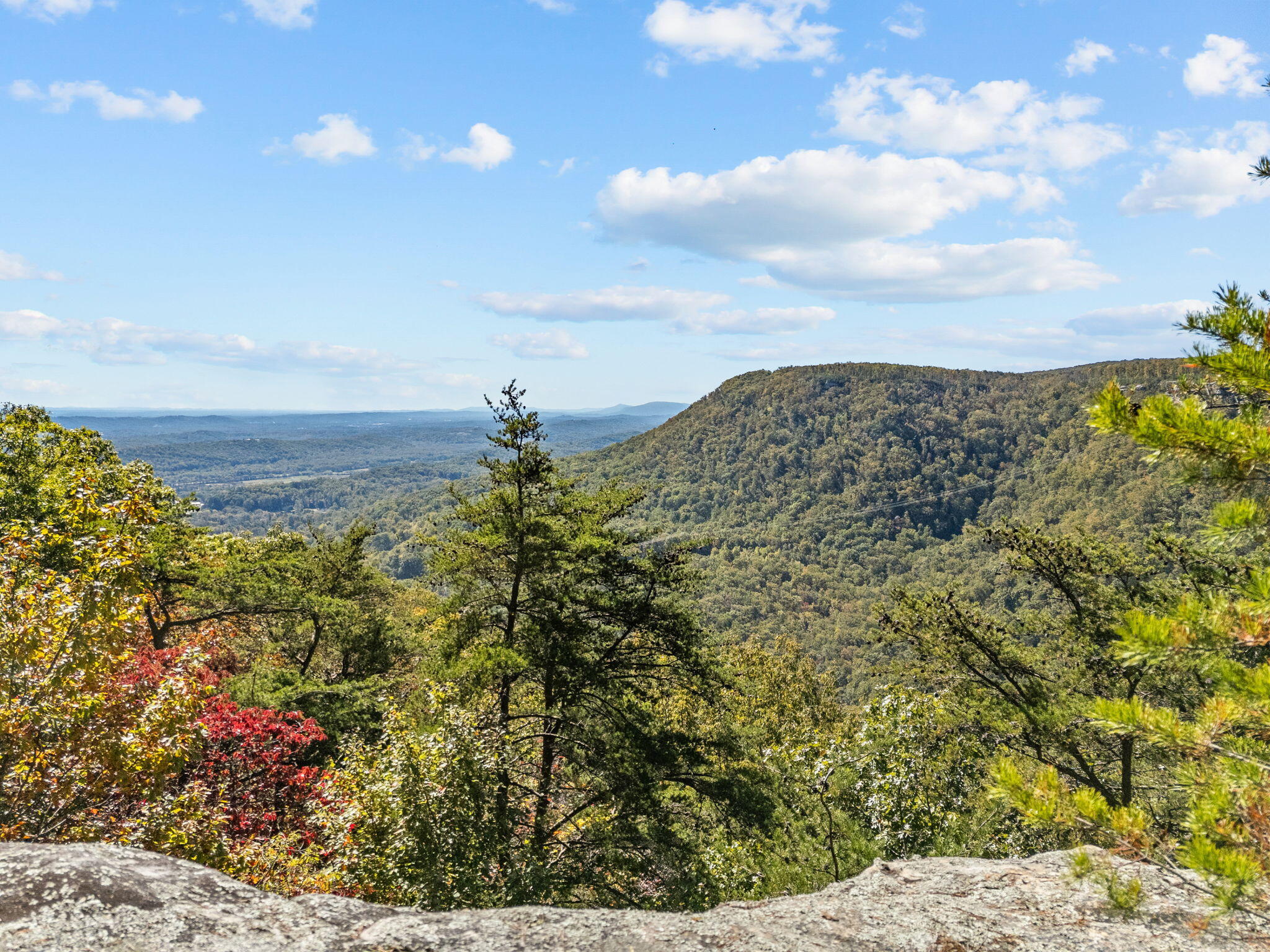 13-web-or-mls-DJI_20251020125553_0130_D-