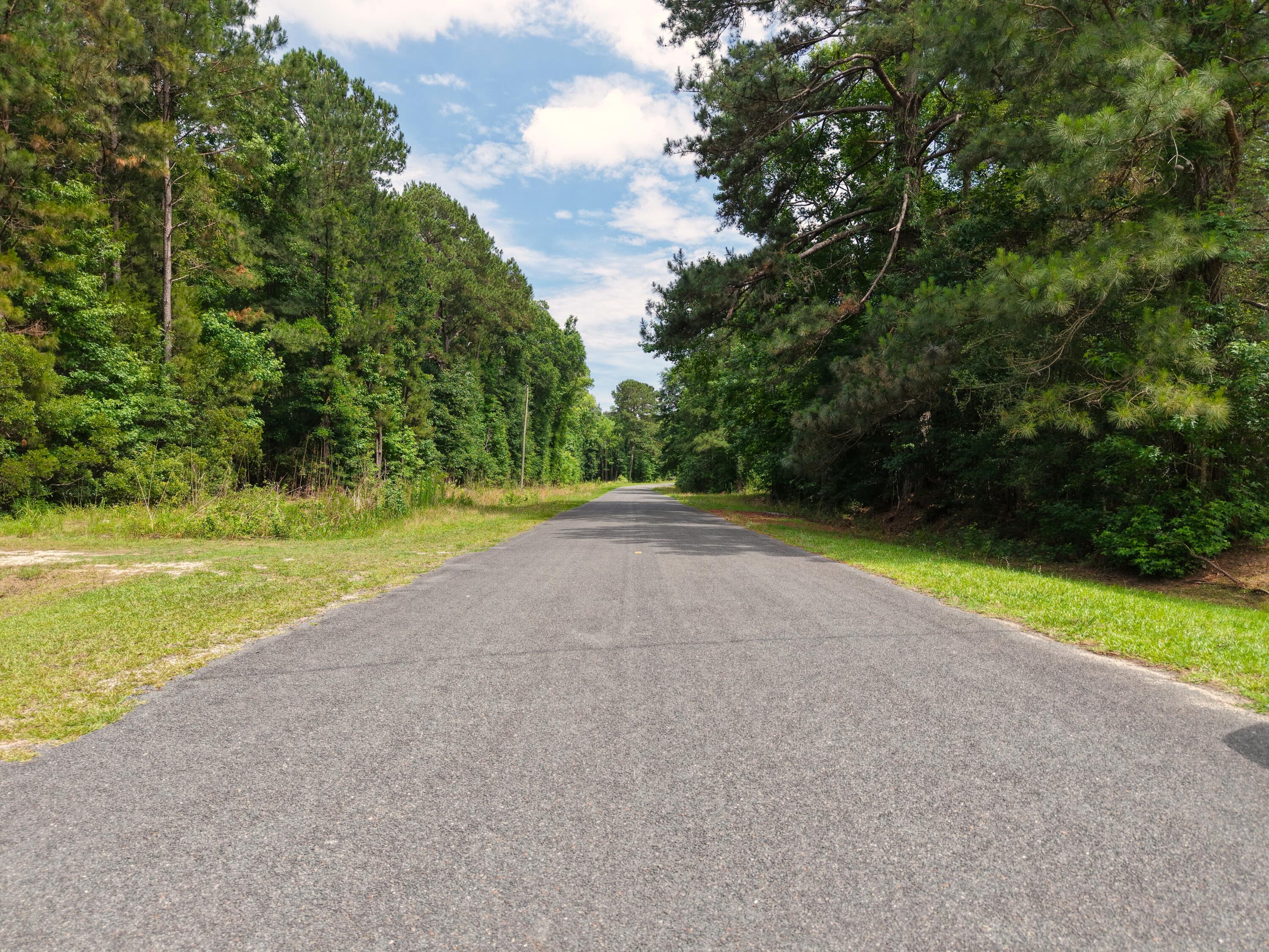 0 Hickory Hill Road Green Pond, SC 29446 - Photo 7 of 20 Property on Left
