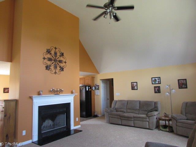 847 Wright Country Road Ramseur, NC 27316 - Photo 3 of 16 Den/Family/Great Room. Fireplace