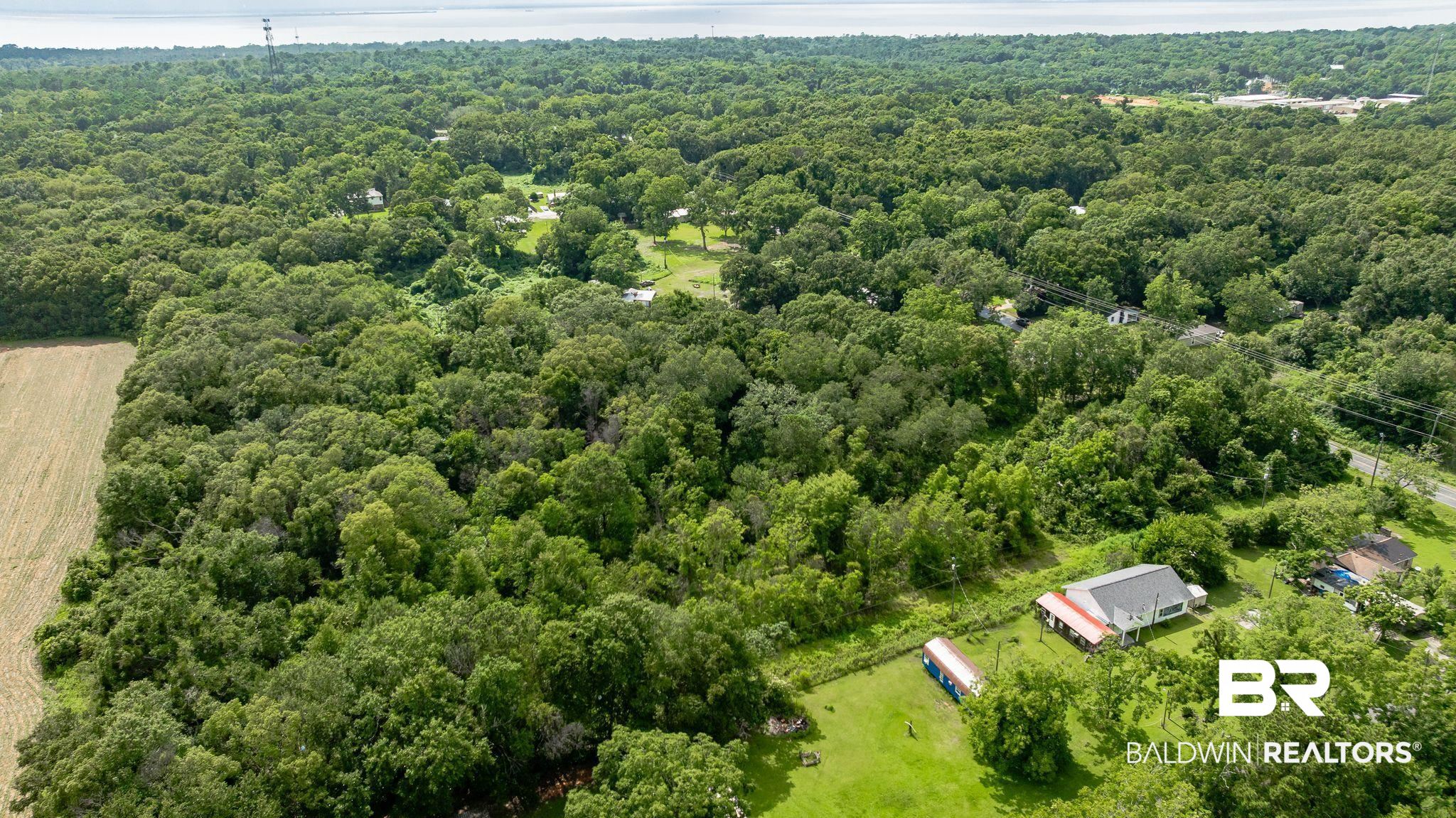 7360 Twin Beech Road Fairhope, AL 36532 - Photo 11 of 16 Aerial view of a forest