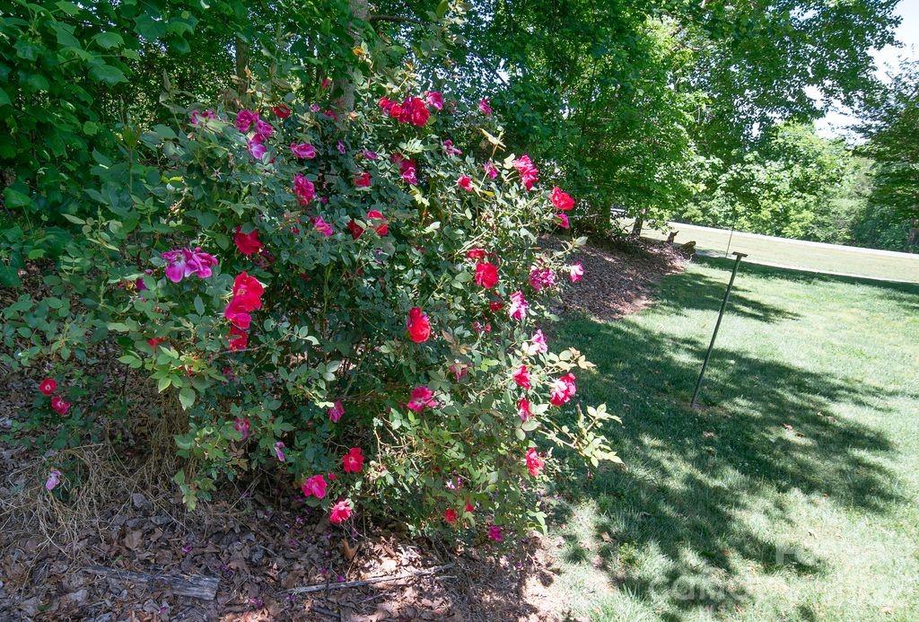 1802 Hopewell Road Morganton, NC 28655 - Photo 25 of 30