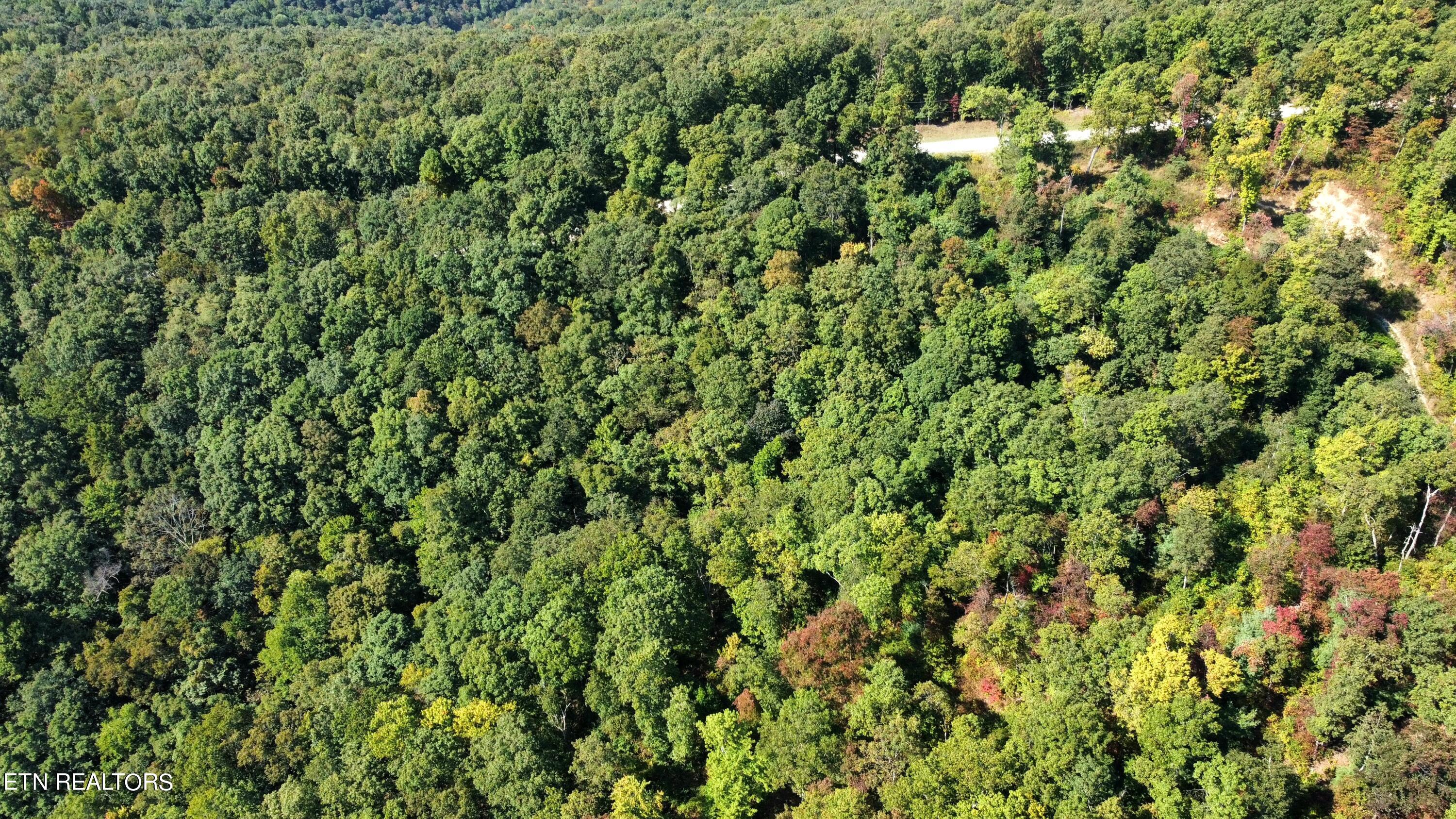Overlook Trail Spring Spring City, TN 37381 - Photo 11 of 16 dji_fly_20230929_105952_159_169601378434