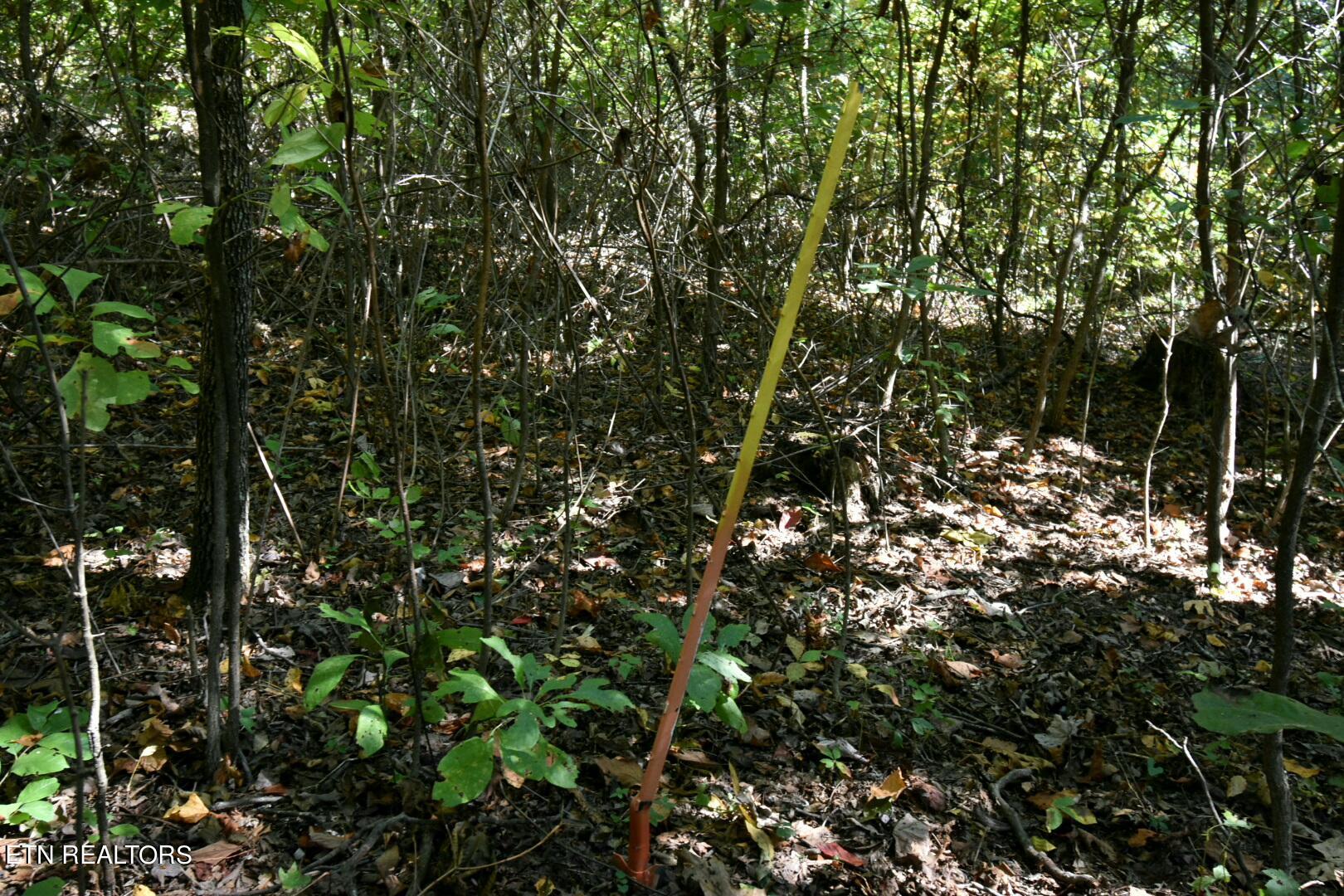 Overlook Trail Spring Spring City, TN 37381 - Photo 13 of 16 ADS_0534