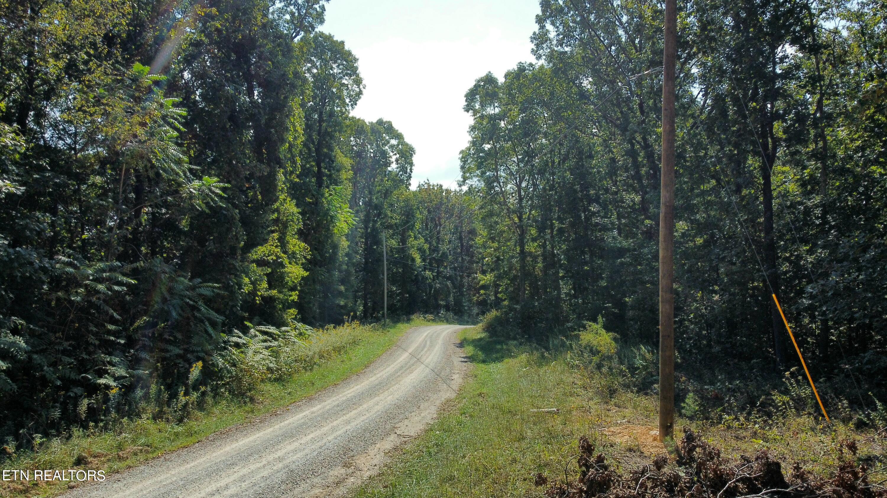 Overlook Trail Spring Spring City, TN 37381 - Photo 14 of 16 dji_fly_20230929_105702_151_169601377668