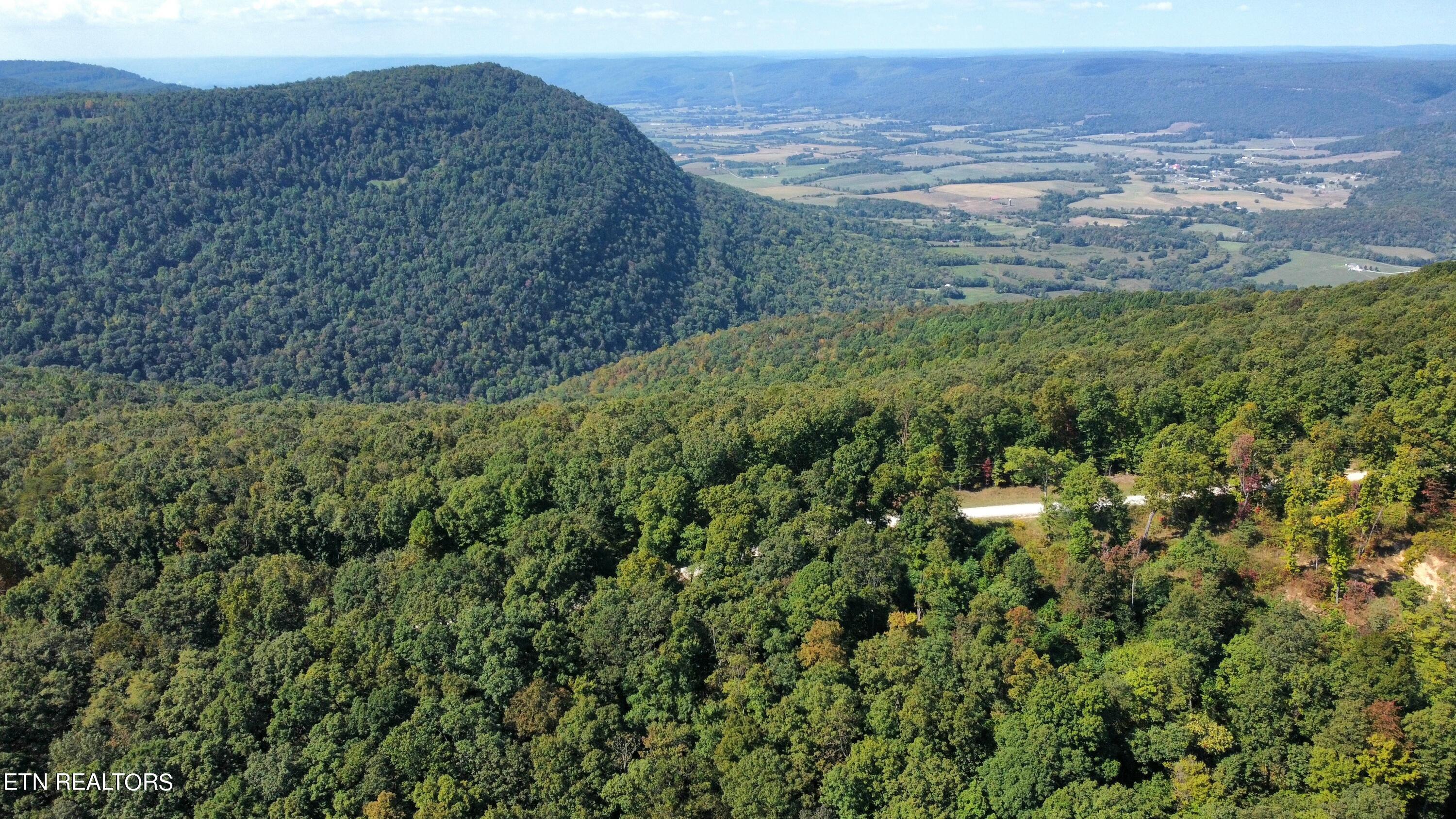 Overlook Trail Spring Spring City, TN 37381 - Photo 15 of 16 1