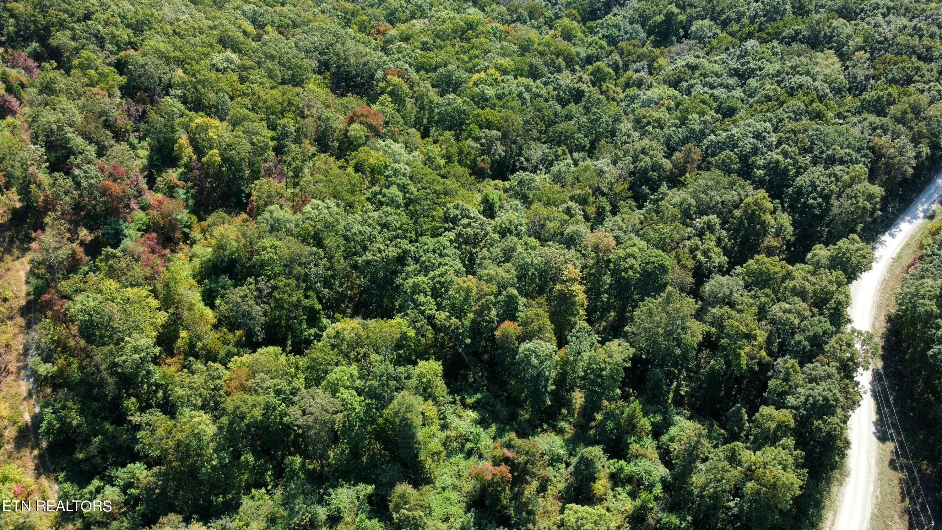Overlook Trail Spring Spring City, TN 37381 - Photo 7 of 16 dji_fly_20230929_105922_156_169601378212