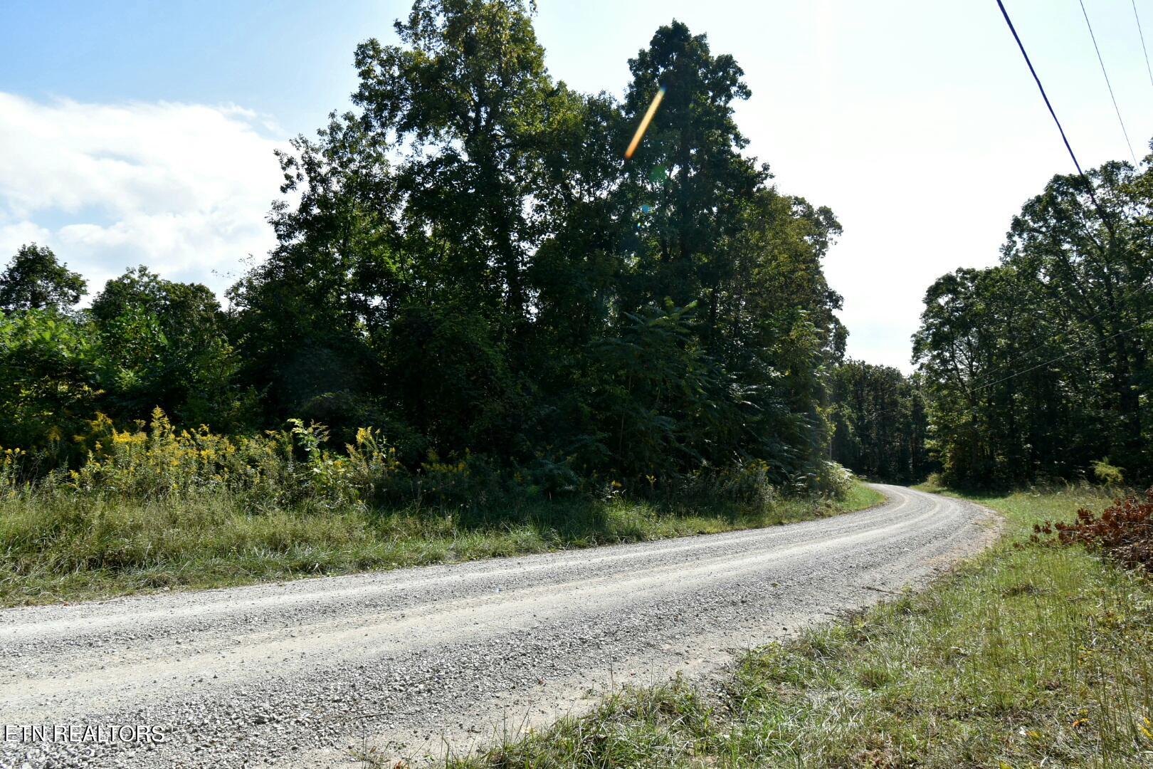 Overlook Trail Spring Spring City, TN 37381 - Photo 8 of 16 ADS_0531