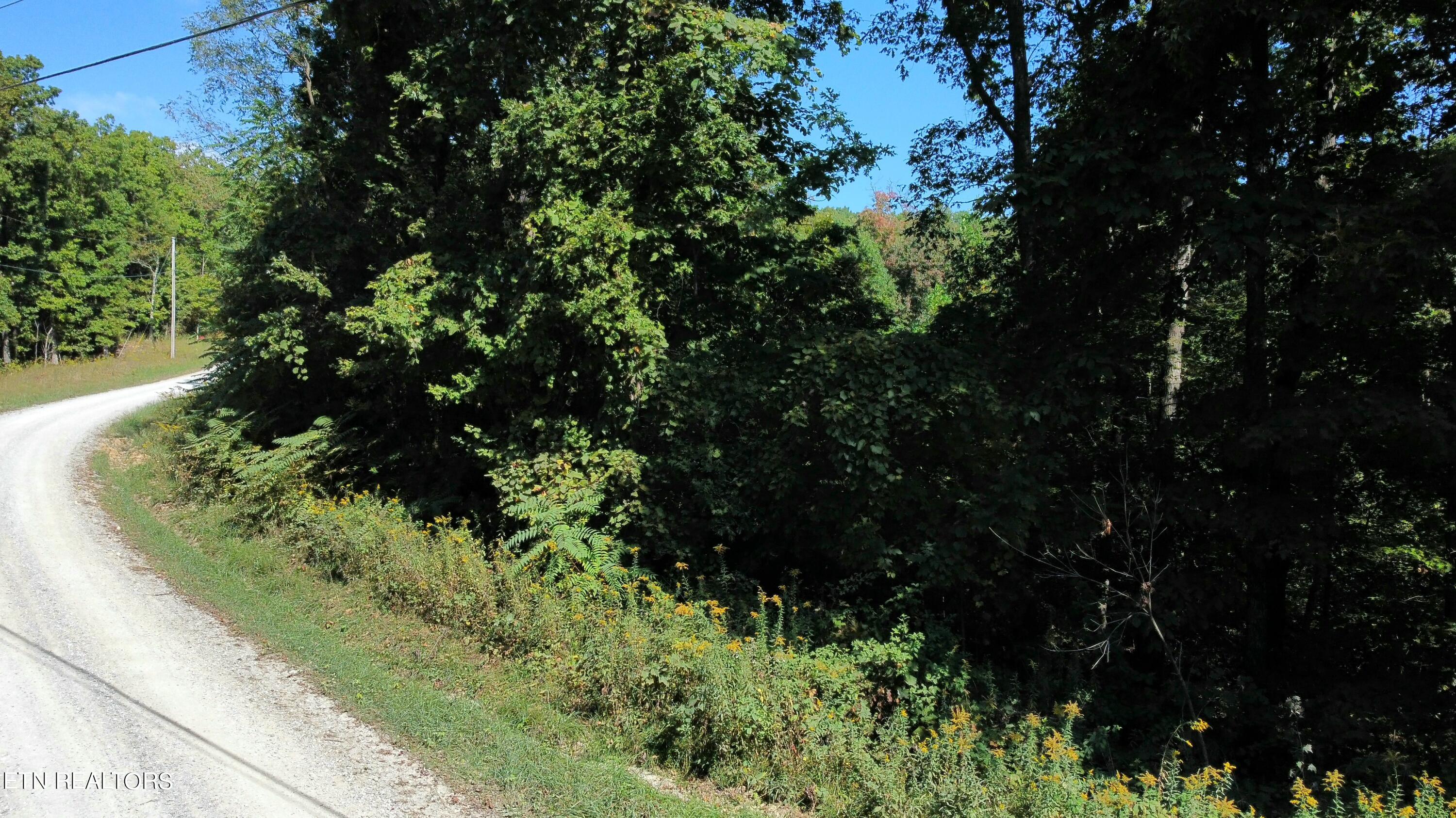Overlook Trail Spring Spring City, TN 37381 - Photo 9 of 16 dji_fly_20230929_105728_152_169601377775