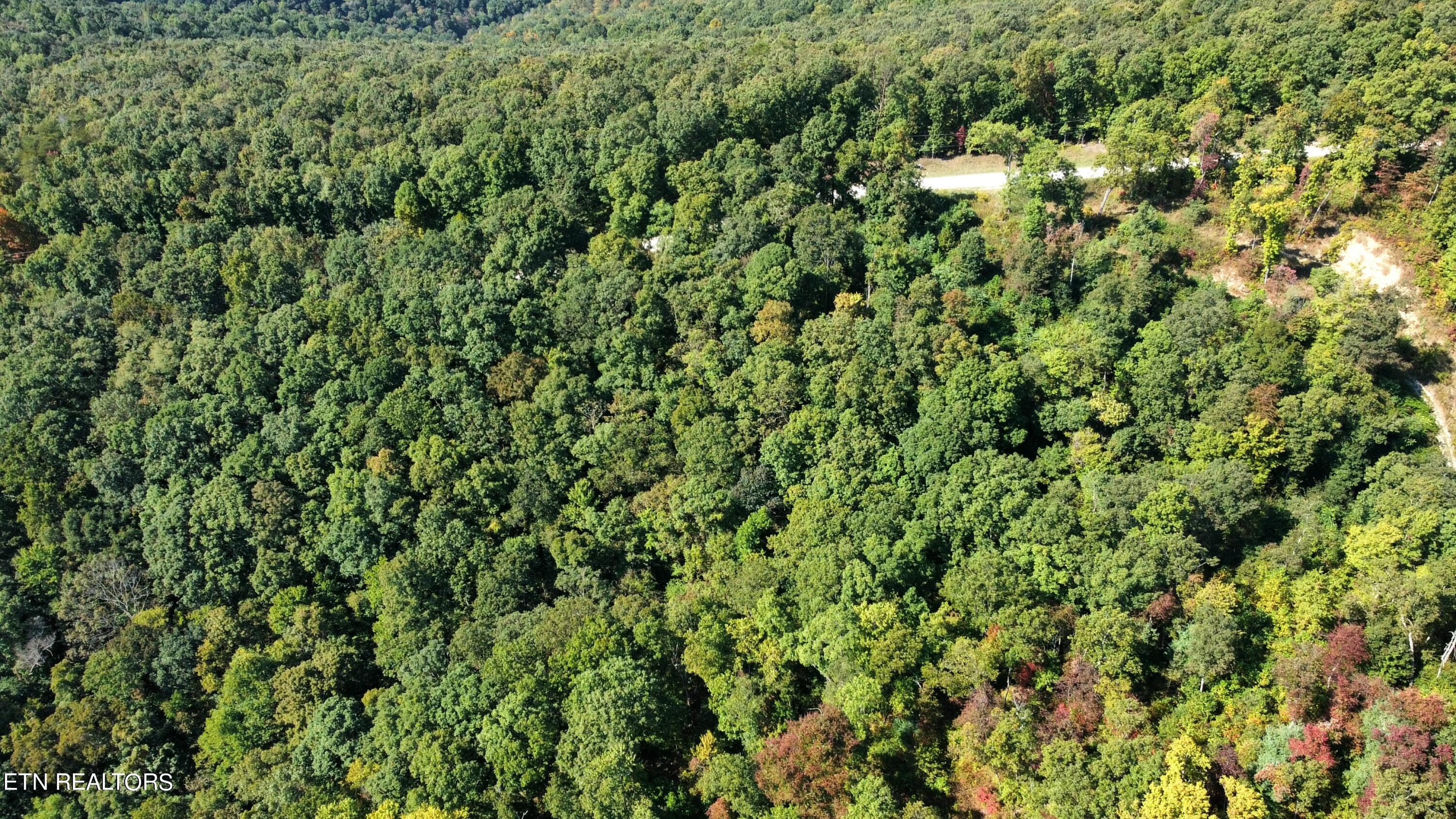 Overlook Trail Spring Spring City, TN 37381 - Photo 10 of 16 dji_fly_20230929_105950_158_169601378324