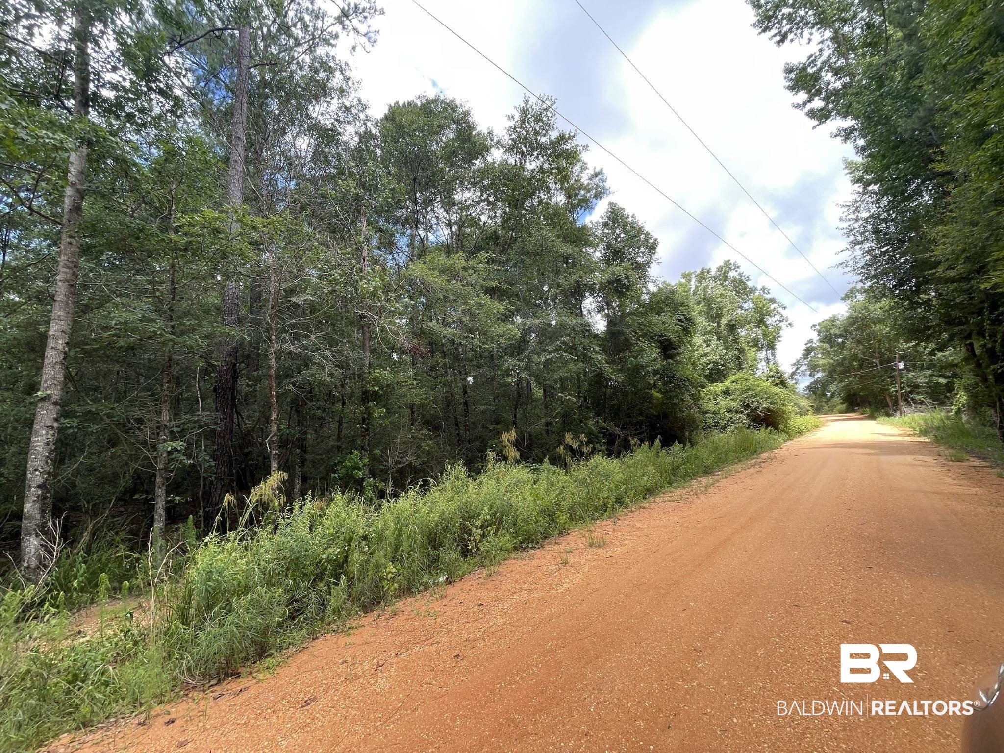 1 Friendship Road Flomaton, AL 36441 - Photo 7 of 13