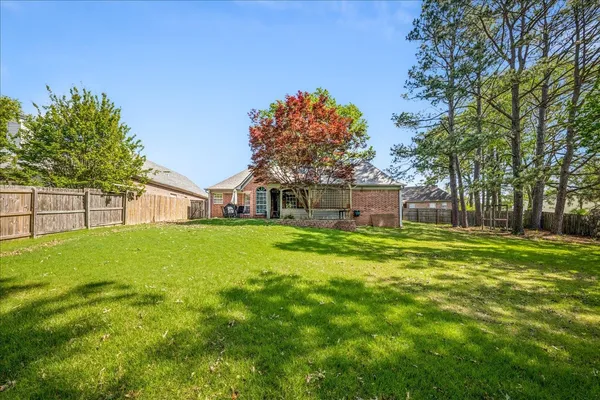 a view of a park with large trees