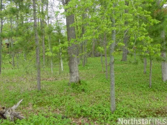 Xxx 110th Street Luck, WI 54853 - Photo 2 of 3
