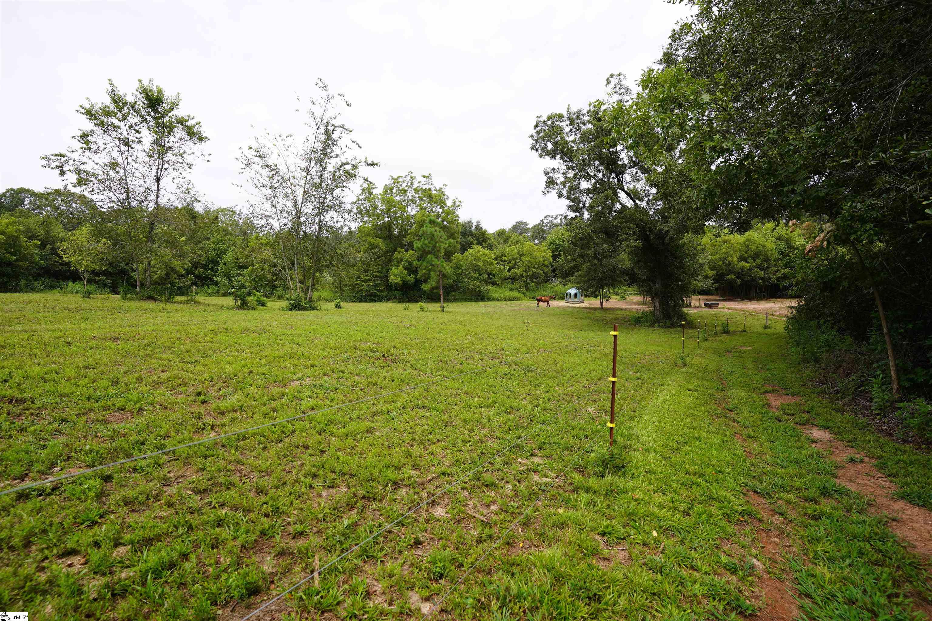 3961 Forrester Road Greer, SC 29651 - Photo 11 of 16