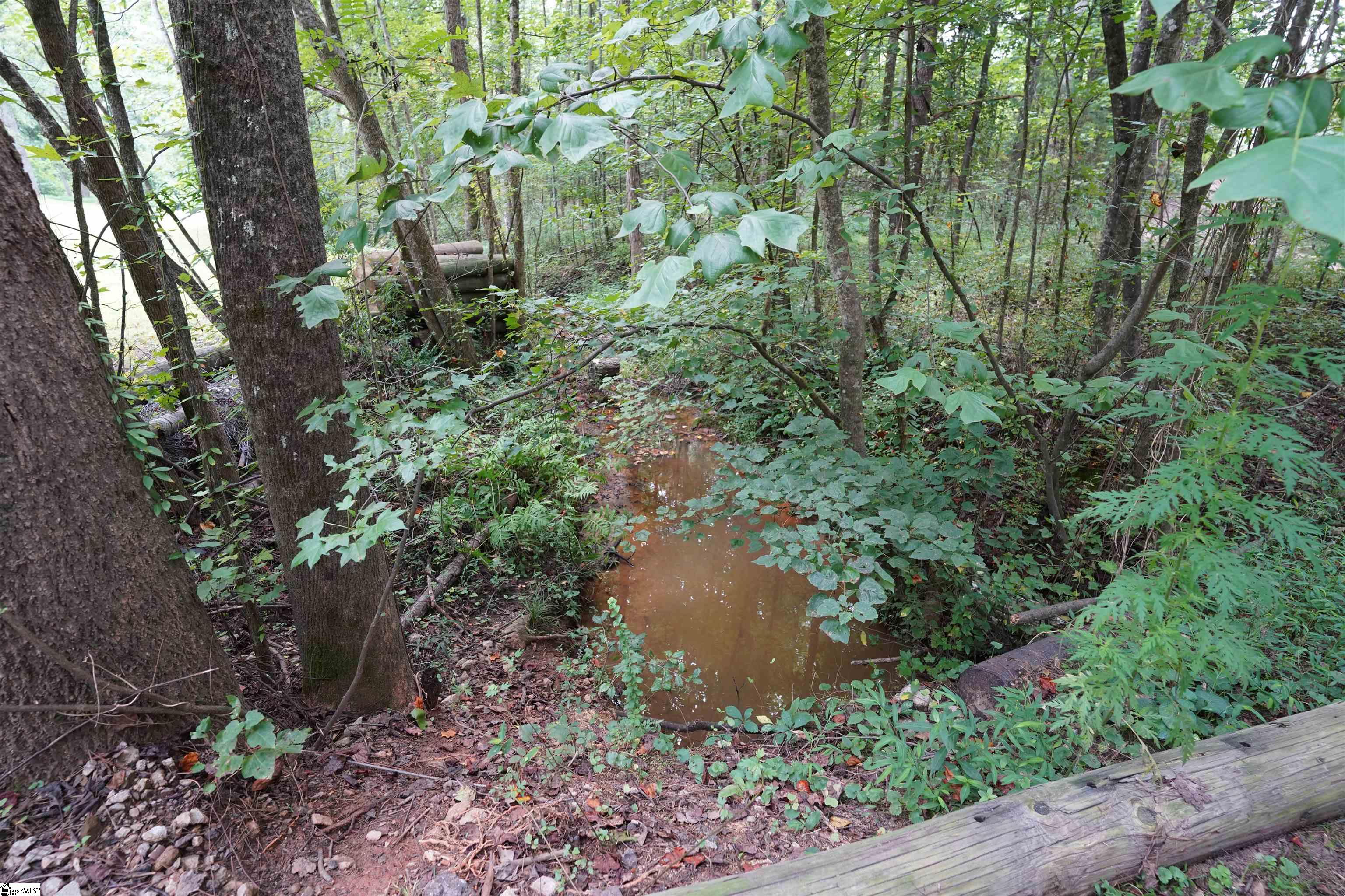 3961 Forrester Road Greer, SC 29651 - Photo 12 of 16