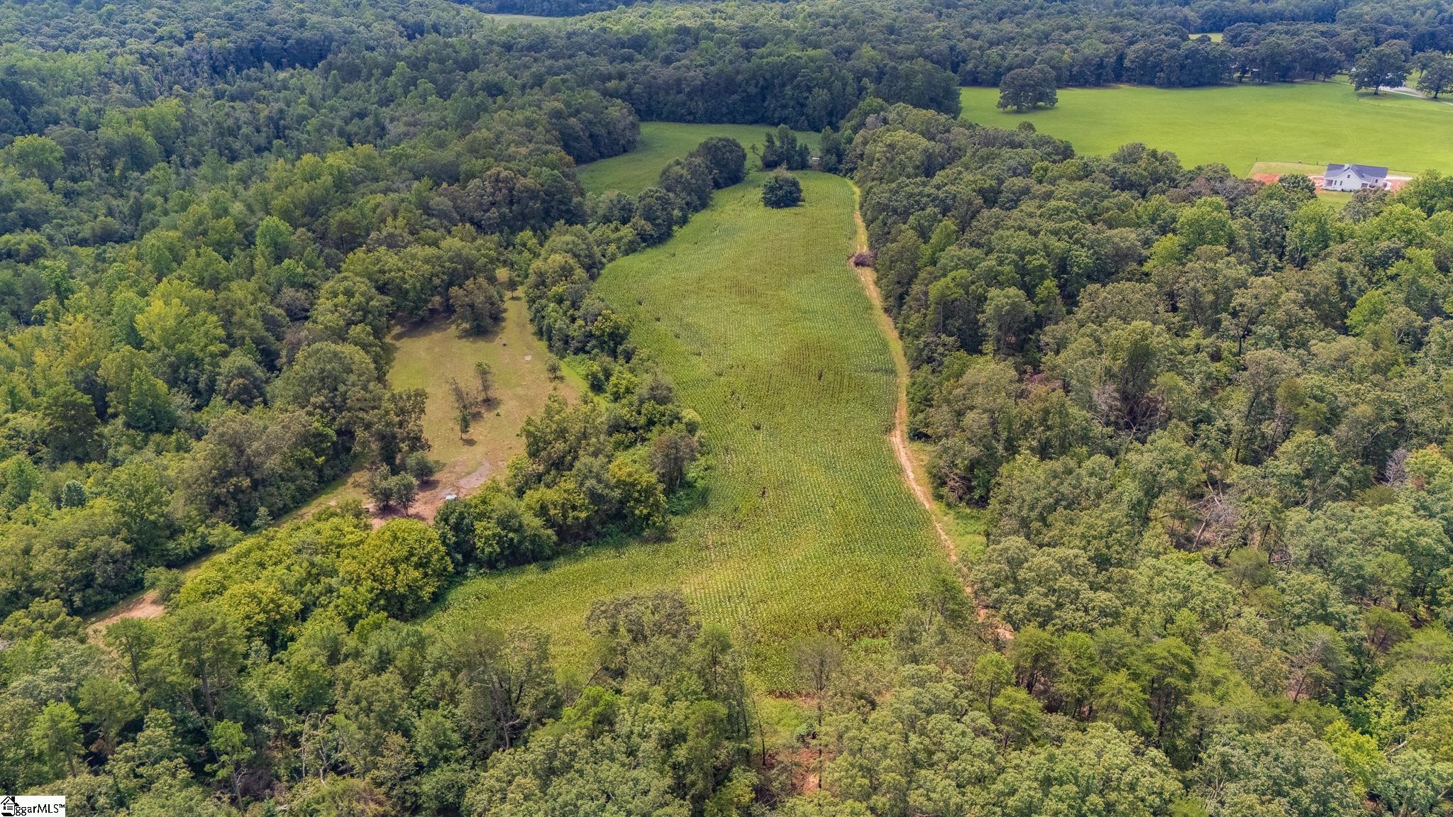 3961 Forrester Road Greer, SC 29651 - Photo 4 of 16