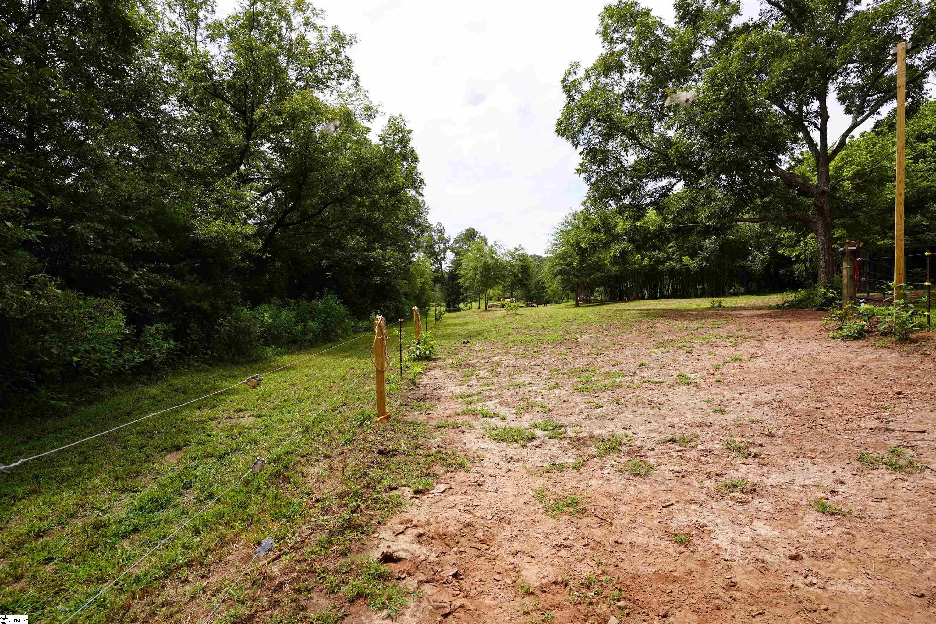 3961 Forrester Road Greer, SC 29651 - Photo 7 of 16