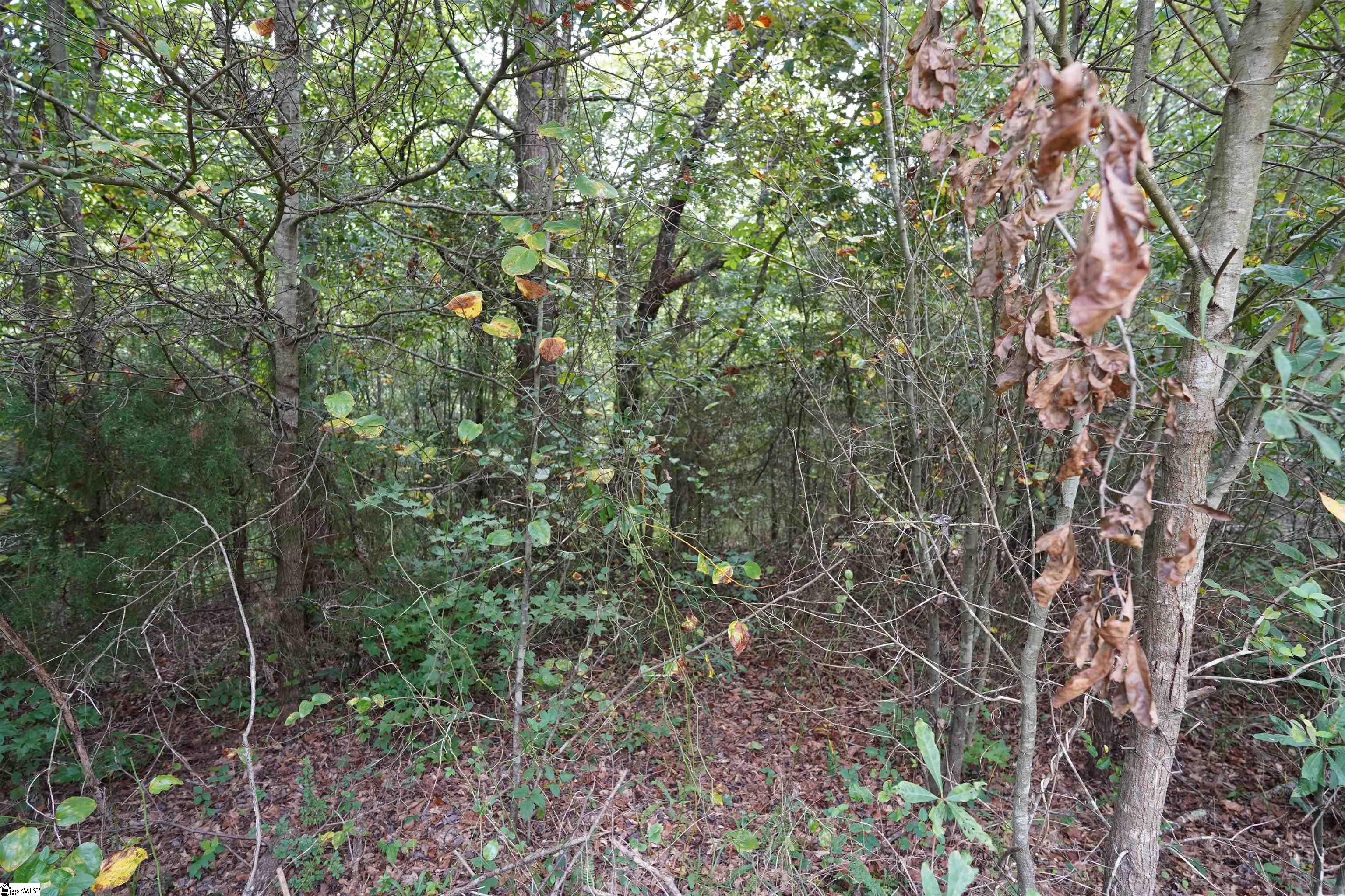 3961 Forrester Road Greer, SC 29651 - Photo 8 of 16