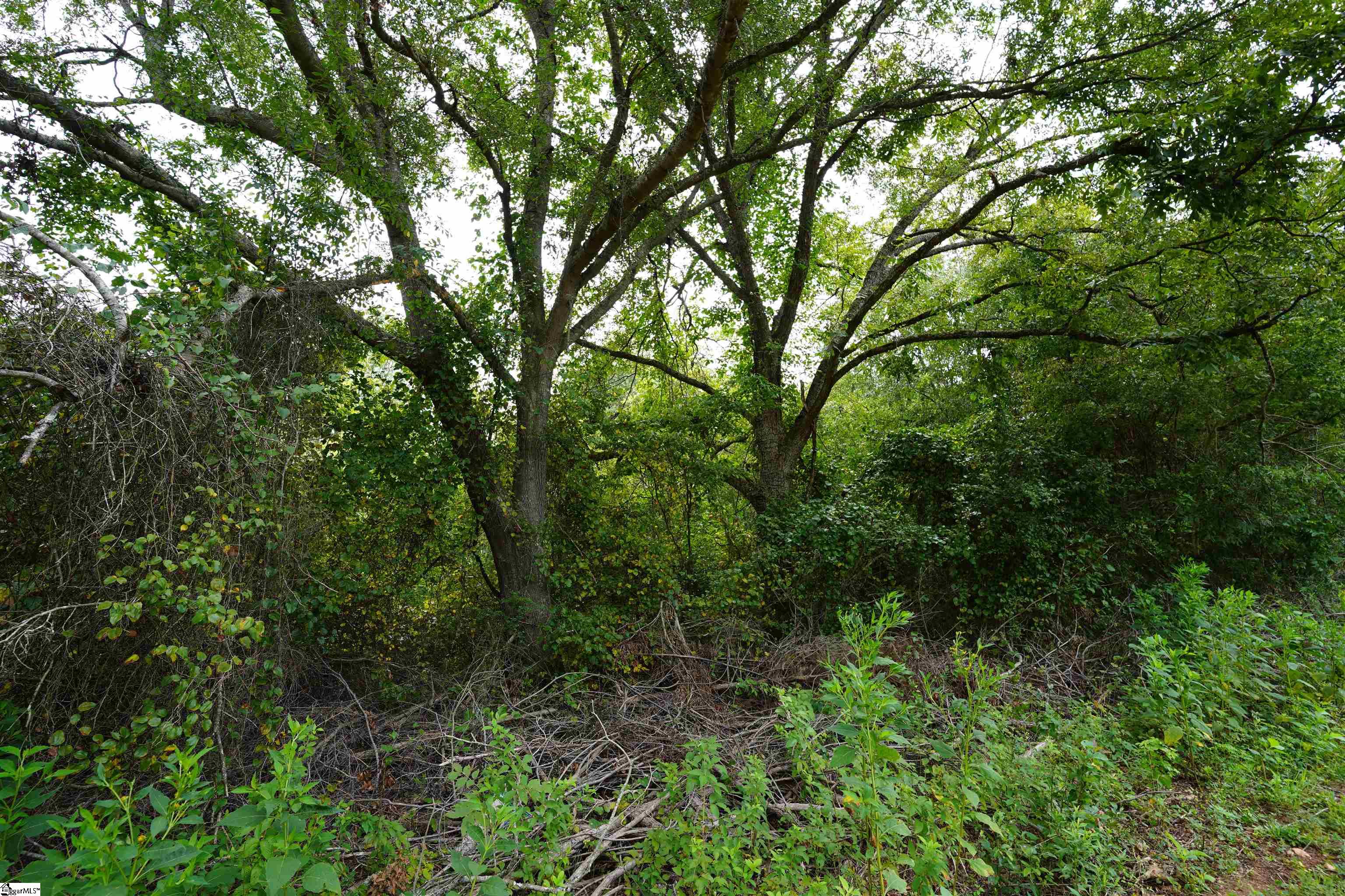 3961 Forrester Road Greer, SC 29651 - Photo 10 of 16