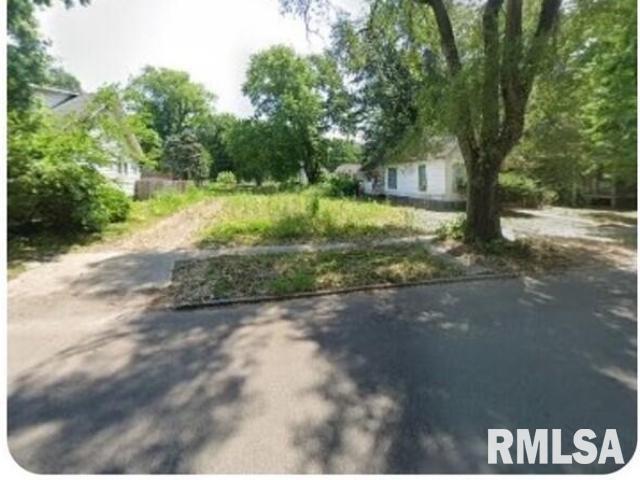1132 North 3rd Street Springfield, IL 62702 - Photo 2 of 2 a view of a yard with plants and trees