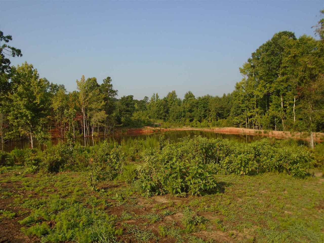 0 Lindsey Road The Rock, GA 30204 - Photo 1 of 1 Gallery Image 1