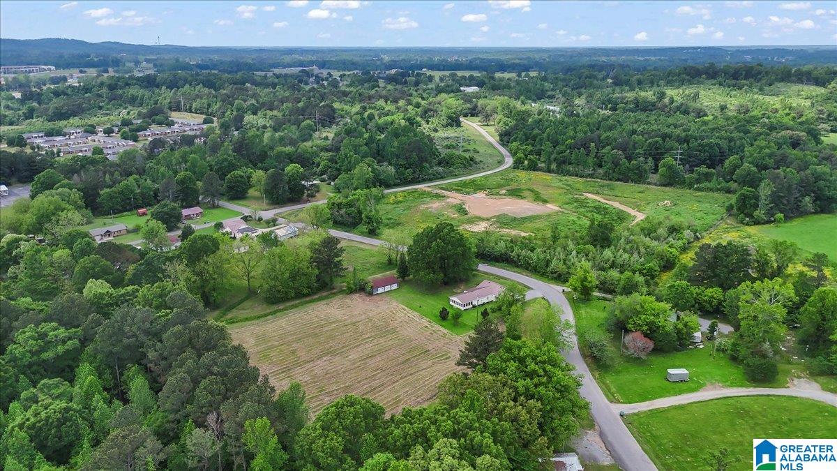 414 Edmondson Road Hanceville, AL 35077 - Photo 36 of 43