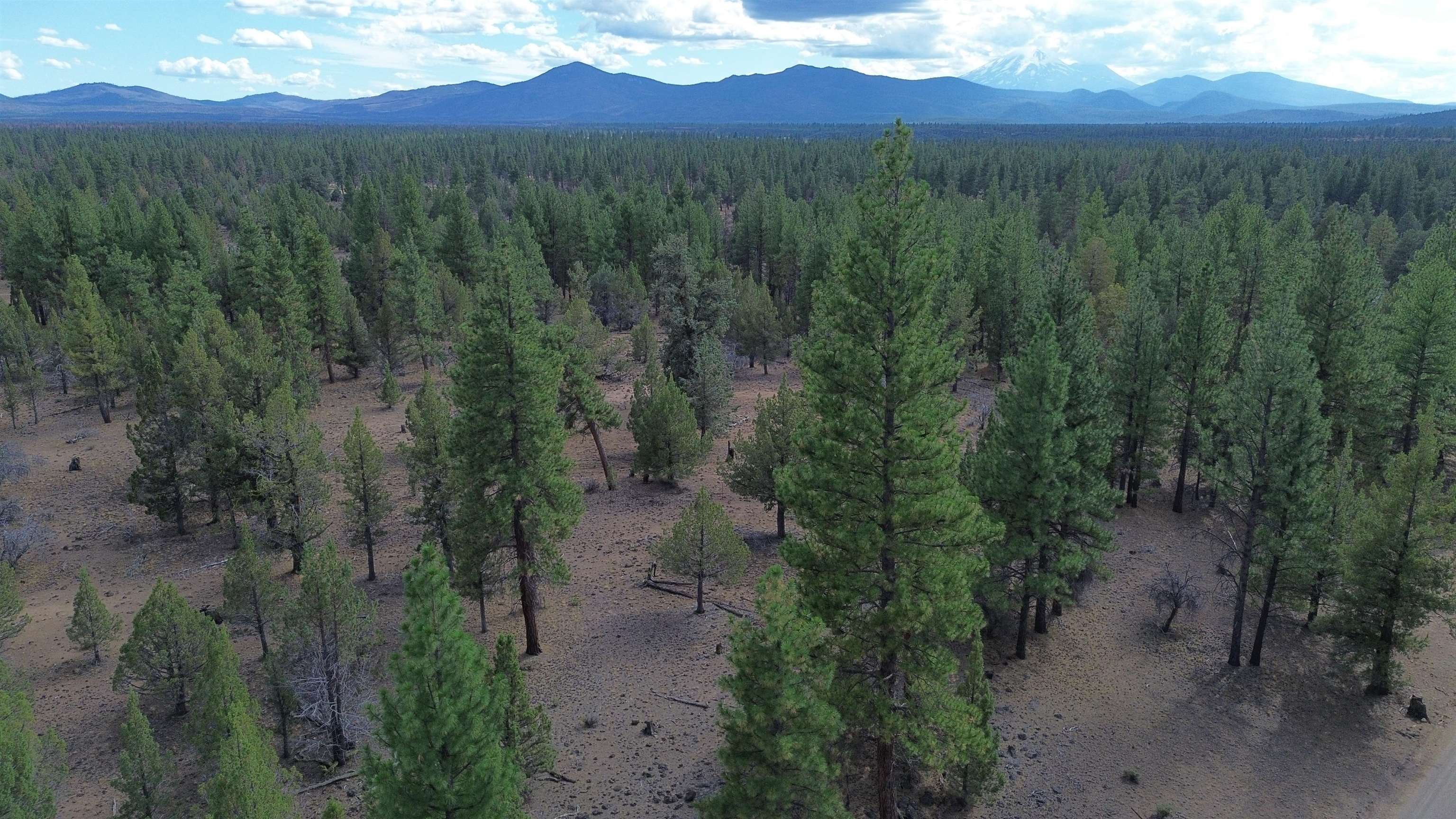 Robison Road Macdoel, CA 96058 - Photo 23 of 30 Gallery Image 23