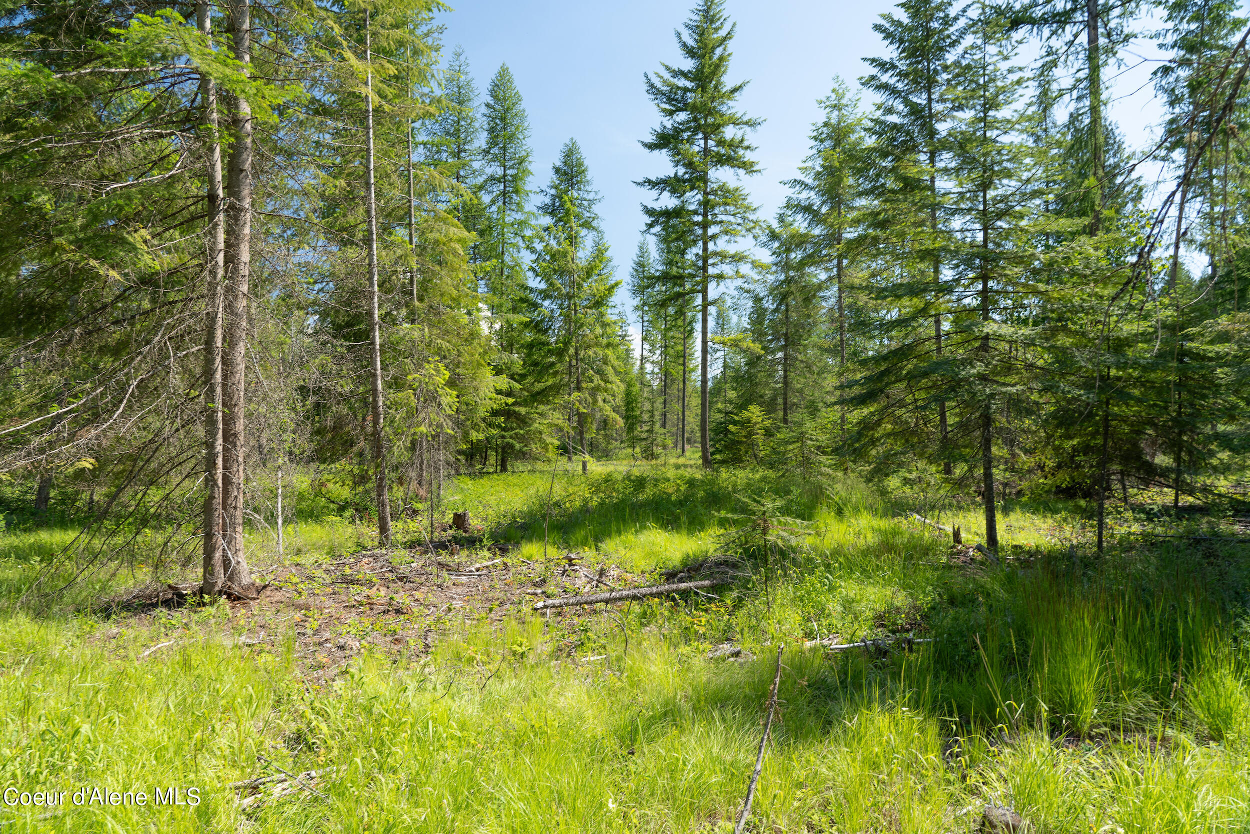N Lot Holmes Road Bonners Ferry, ID 83805 - Photo 1 of 1 10 N Idaho Acres