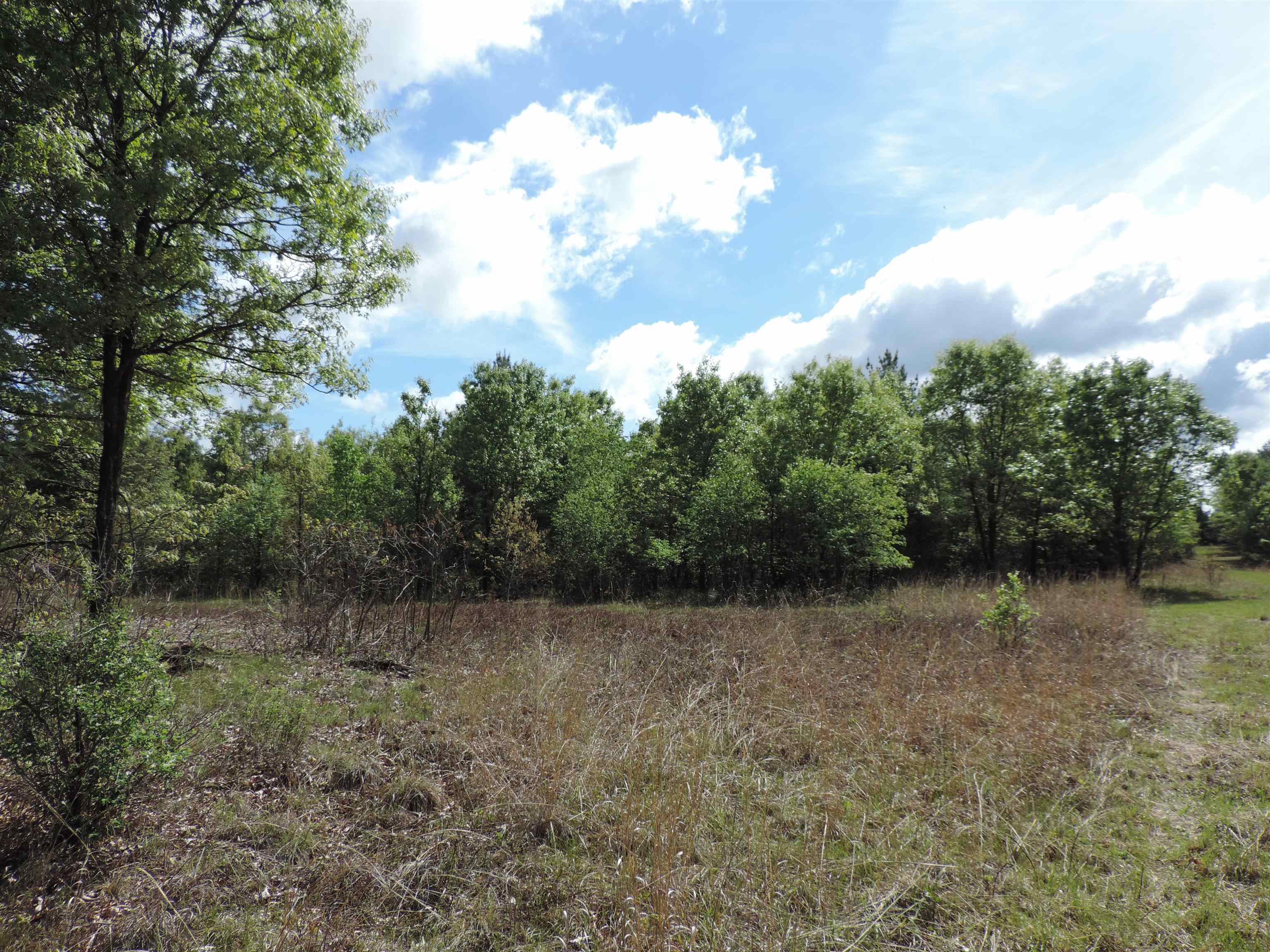 9999 Tessa Lone Rock, WI 53556 - Photo 3 of 7